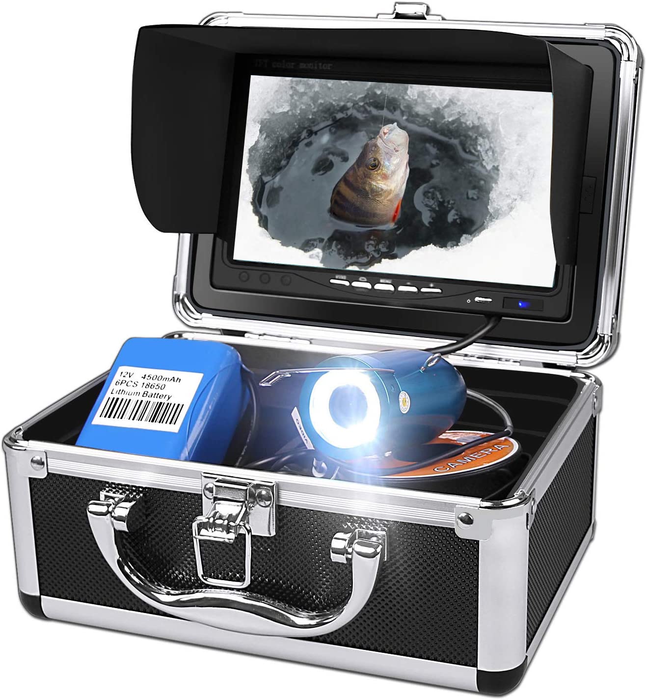 Karpfenangeln Kamera